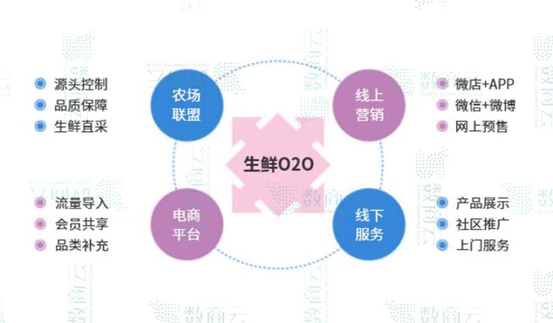 生鲜电商平台:新鲜生活的快车道